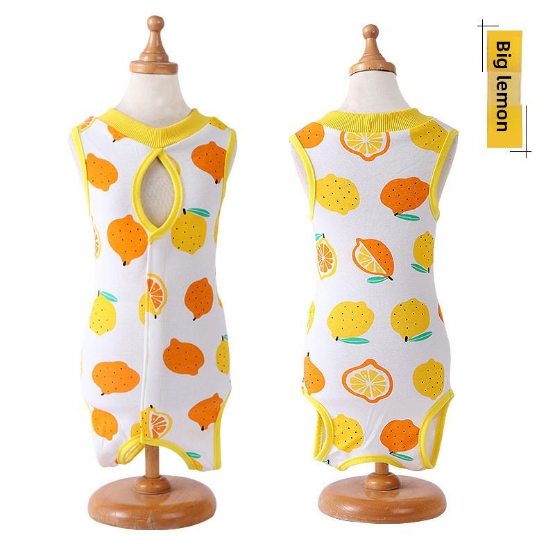 

Miaoxinbao Cat Weaning Clothes, Thin Cat Four-legged Clothes, Multi-color Color-matched with Velcro, Cat Sterilization Clothes XL