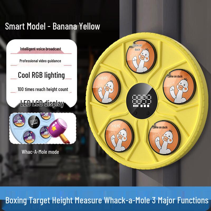 Smart Music Boxing Training Machine