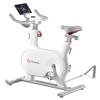 YESOUL Smart Indoor Cycling Bike CN Plug (adapter Included)