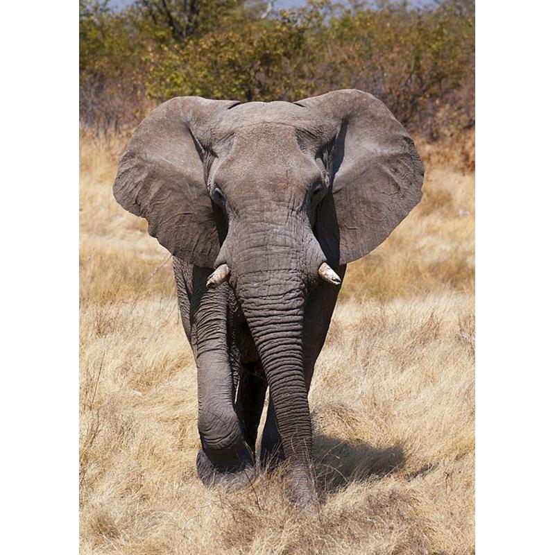 Elephant DIY 5D Diamond Painting Full Round Drill Animal Diamond Ebroidery Cross Stitch Mosaic Kits Art Wall Decor Home