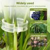 Secured Plastic Plant Clip, Garden Clips for Climbing Plants, Support Clips Tomato Grape Vine Vegetables Plant Fixing Clips