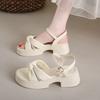 Fairy Shoes Thick-soled Shoes New Women's Thick-heeled Beach Sandals