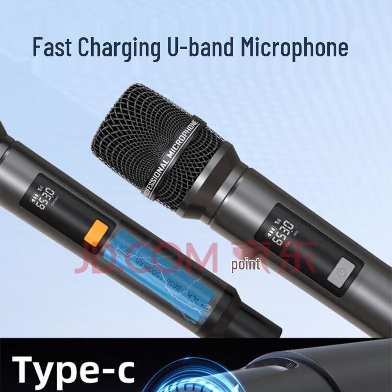 Shanshui C6plus Portable Home KTV Karaoke System