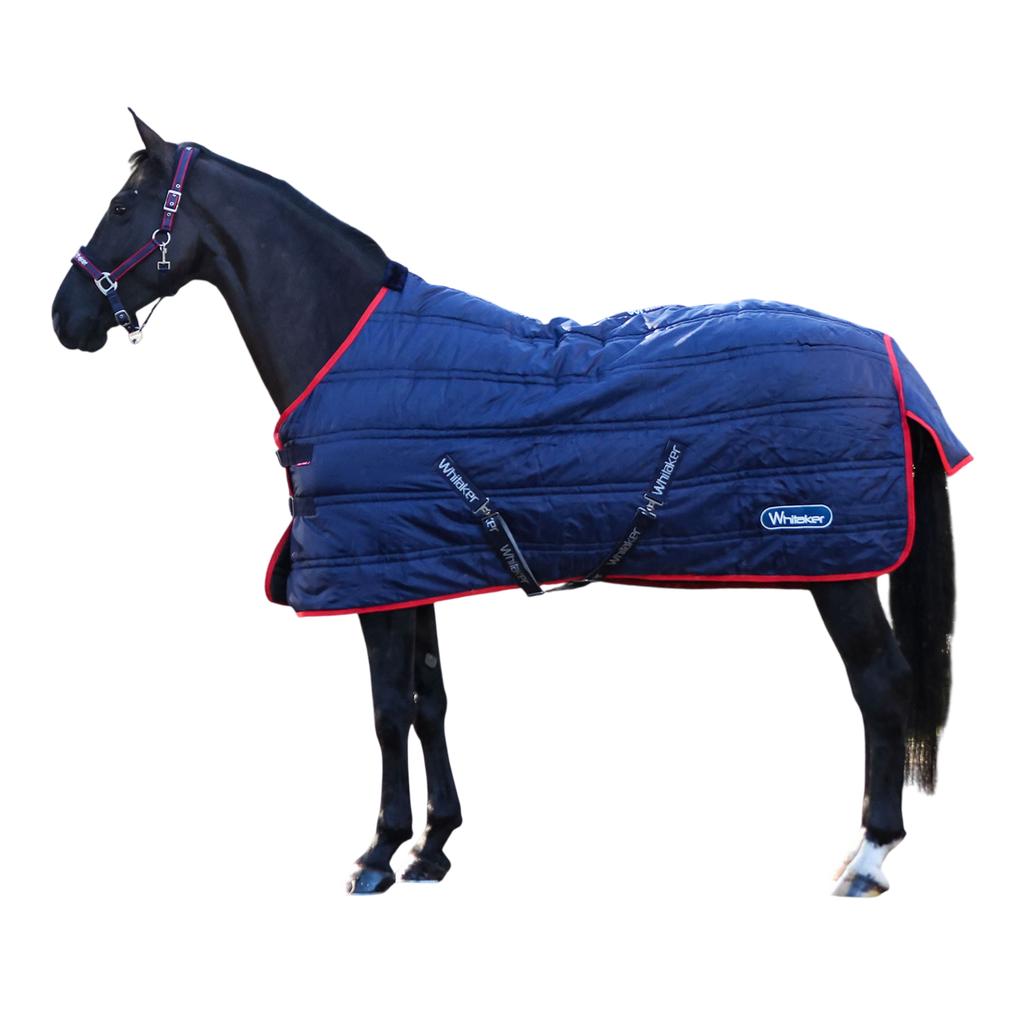 Whitaker R451 Rastrick V2 Standard-Neck 200g Horse Stable Rug