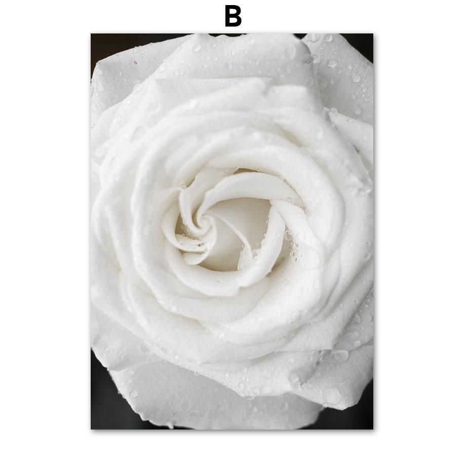 Hvit Peonrose Blomst Enkelhet Lerretsmaleri Nordiske Plakater Trykk Planter Romdekor Veggkunst Bilder Hjemmedekorasjon