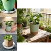 Plastic Flower Pot Tray With Pet Material And Dustproof Design For Garden And Home Use