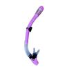 Alliance Envoy Adult Dry Snorkel