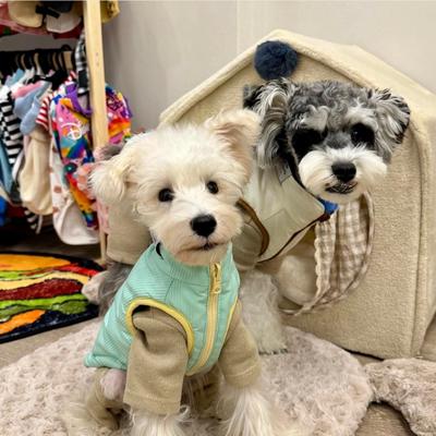 Im Herbst und Winter warm halten, beidseitig kontrastierende Haustierwesten tragen, Teddy Bi Xiong Pomeranian Kleiner Hund Hundekleidung