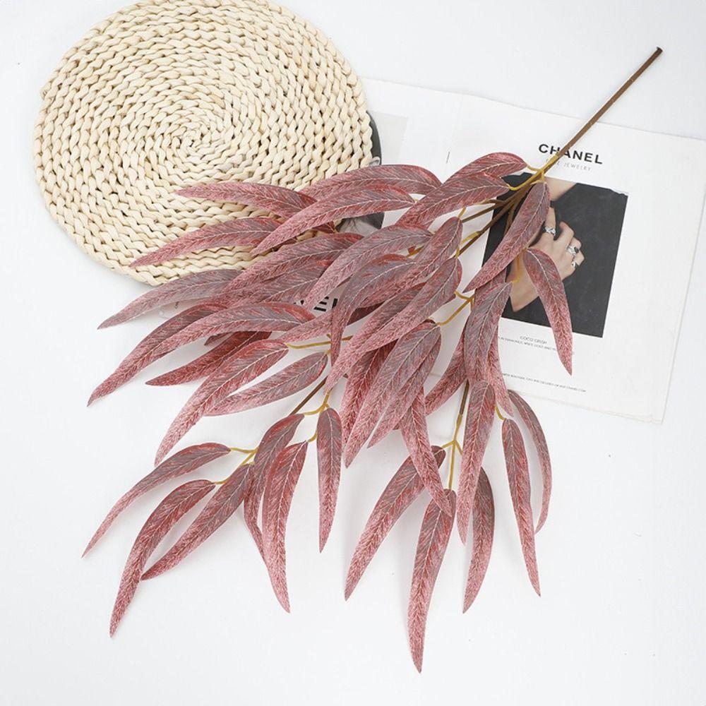 Office eucalyptus. Office eucalyptus