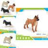 Boxer Animal Model Pvc Dog Collection For Children Educational Toy And Home Decor
