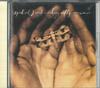 CD MICHAEL FRANKS - Dragonfly Summer WPCP5247 Reprise 1993 Japan Jazz Felhasznált