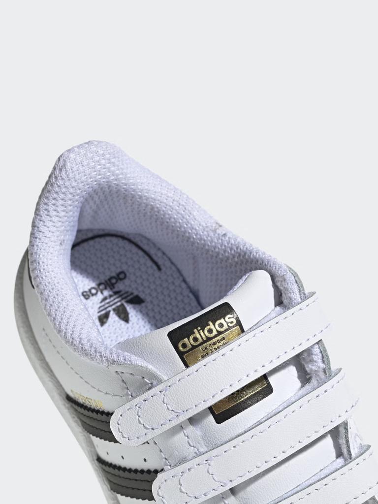 Adidas Shoes - SUPERSTAR CF - Shell Head Shoe - Adidas Clover EF4842