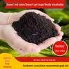 Organic Universal Soil for Flowers, Vegetables & Succulents - 60 Jin