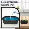 Hydroponic Planting Tray Scallion Regenerator Seedlings Starter Tray Indoor Home Garden Hydroponic Plants Cultivation Growing Nursery Tray