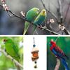 Jouet à mâcher pour oiseaux Bec de perroquet Fournitures à mordre avec clochettes Accessoires de cage à oiseaux Jouets de cage pour calopsittes Conures Pinsons d'amour