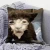Funny Cat MMeMe  Pillow Covers Home Sofa Cushion Covers and Aecorative Custom