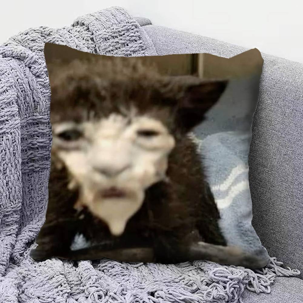 Funny Cat MMeMe Pillow Covers Home Sofa Cushion Covers and Aecorative Custom