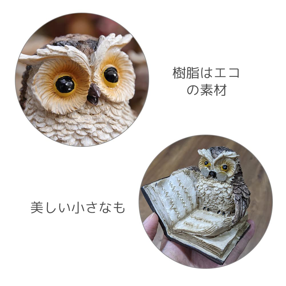 HIGHAWK Owl Figurine, Animal Mascot, Cute Mini Entrance Ornament, Resin Decor, Set of 2, Small Owls