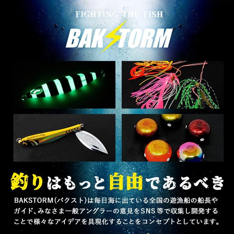 Slow Fall Wing Shiny Model Metal Jig 110g Lure Jig