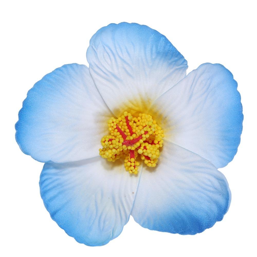 Headwear Hawaiian Flower Hair Clips Side Bangs Clip Hair Accessories BB Hair Clips Romantic Suitable Vacation Beach Parties