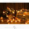 Tai Chuang Outdoor LED Bee String Lights