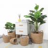 Handmade Woven Planter Basket Laundry Storage Decorative Basket Rattan Straw Garden Flower Pot Sundries Storage Basketes