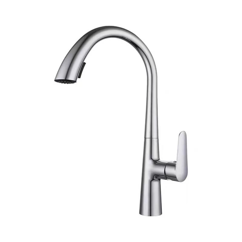 

TLXT Brushed Stainless Steel Pull-Out Wall-Mounted Faucet