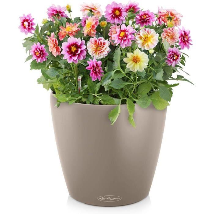 Pot de fleurs - Lechuza - Classico Color 43 - Brun Sable - Système d'irrigation - 33L