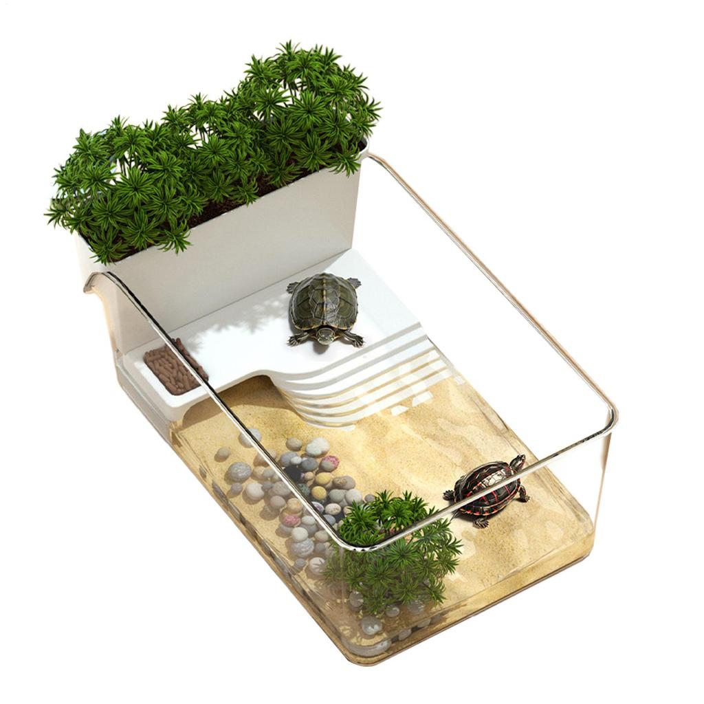 Transparent Turtle Terrarium Turtle Tank Decorative Small Crab Feeding Basking Habitat for Nature Educators Tortoise Terrapin