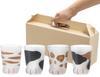 Tumbler coconeco glass coconeco kitten 4 pattern assorted in special craft made in Japan [230ml / set] box,