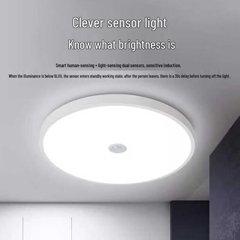 FSL LED Motion Sensor Ceiling Light