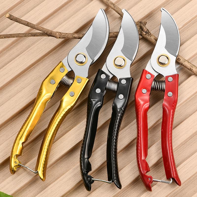 Floral Art Fruit Tree Pruning Shears - Specialized Garden Scissors for Branches and Flowers