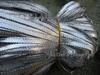 Gold und Silber Flaches Band - Metallicfaden-Kantenbesatz mit dekorativen Zöpfen