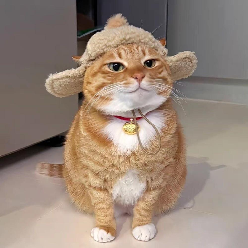 Fashion Warm Cat Flying Hat Lamb Fur with Ear Hole Fluffy Dog Hat Windproof Winter Dog Hat Photograph