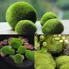 Marimo Moss Balls Konstgräs Sten Torv Mini Fairy Garden Micro Terrarium