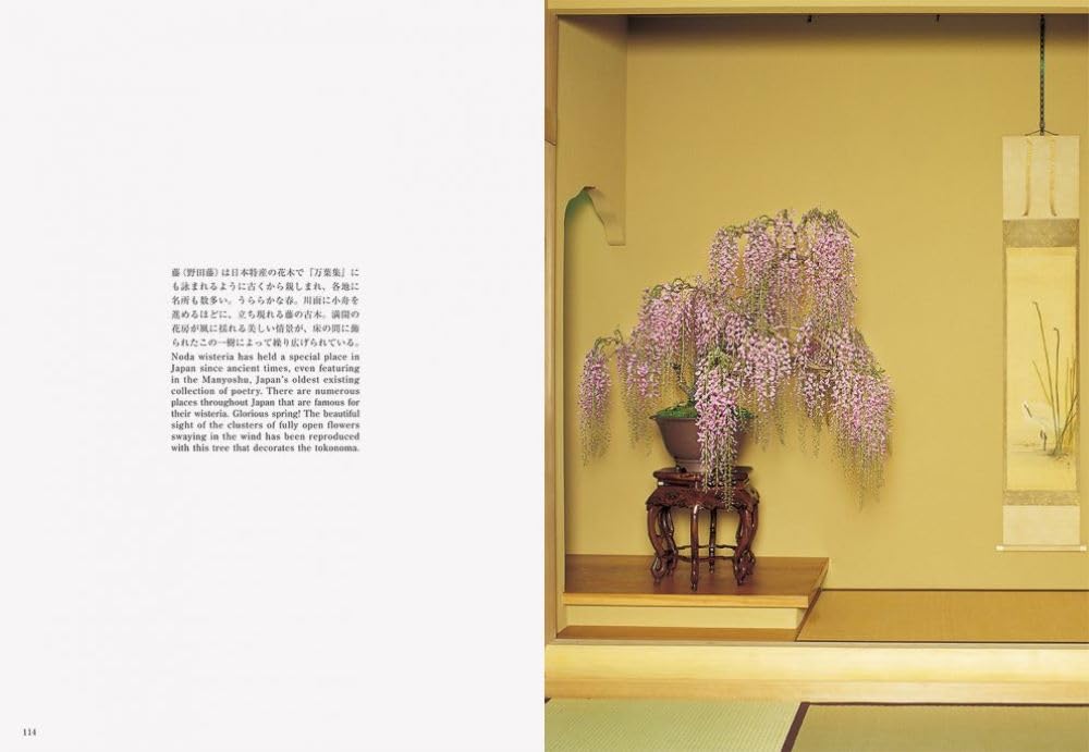 Bonsai Bonsai New Edition