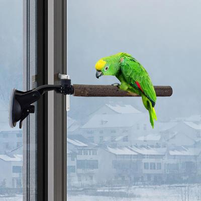 Vogelsitzstange für Sittiche und Aras – Stabiles Trainingsgerät