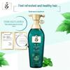 Ryo Green Tea Oil Control Shampoo