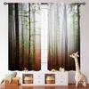 Mistige Bos Gordijnen Nevelige Bosbomen Print voor Woonkamer Slaapkamer Landschap Decor