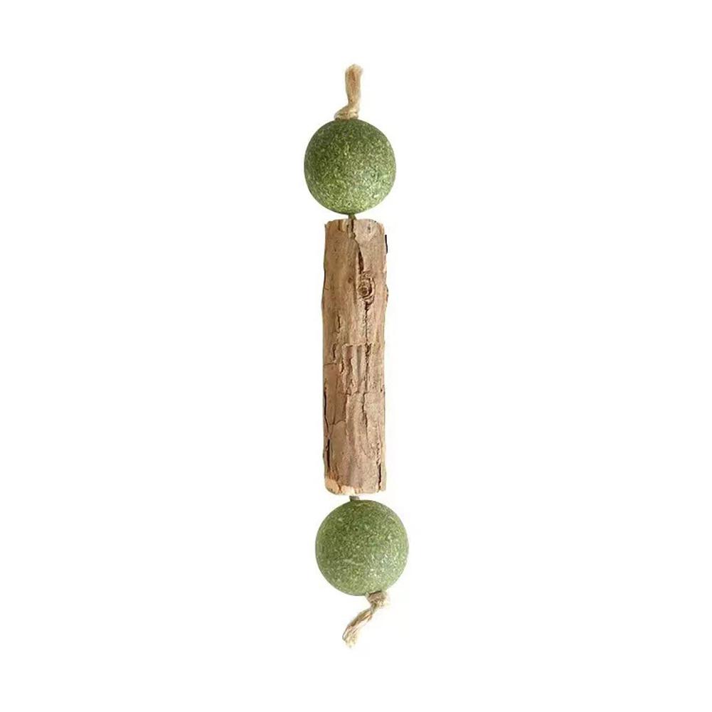 Teeth Grinding Catnip Ball Natural Catnip Cat Molar Toothpaste Stick Silvervine Actinidia Fruit Matatabi Cat Snack
