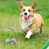 TMZ Hard Ball Dog Chew Toys 2 Pack Tough Chewing Balls for Small Dogs Puppy Teething Training Interactive Pet Dental Toys