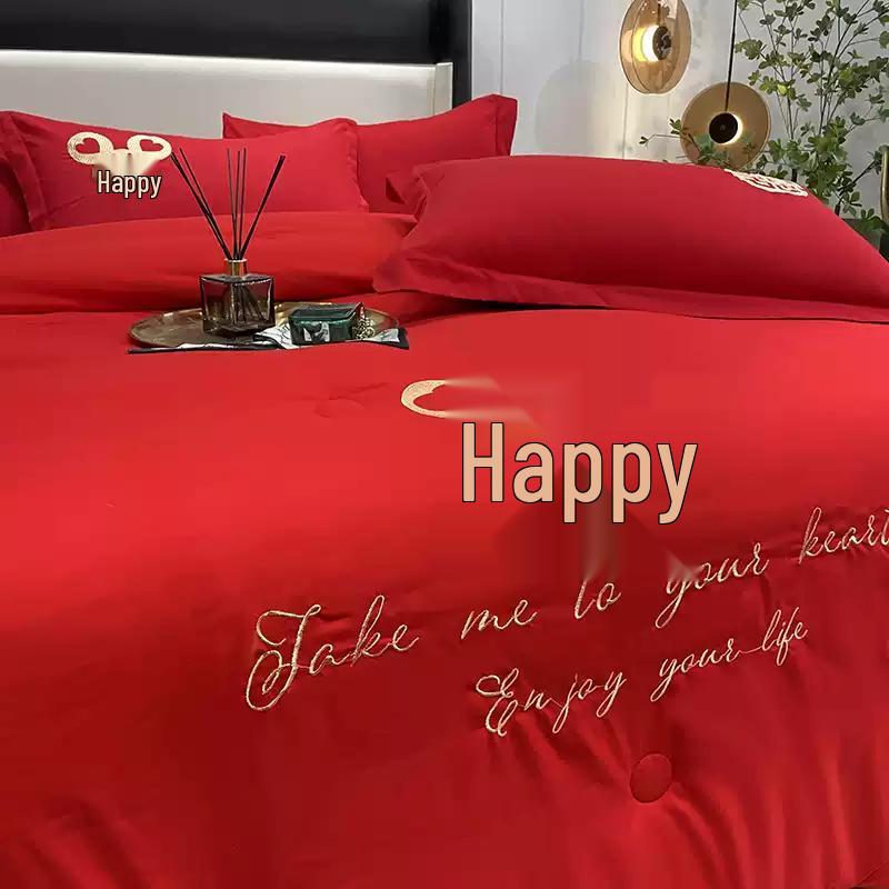 Youfuanida Brushed Cotton Winter Quilt Core