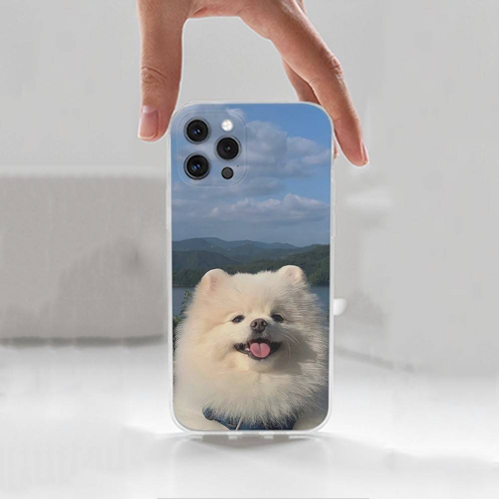 Cute P-Pomeranian Dogs Case For iPhone 17,11,12,13,16,14,15,Pro,Max,Plus,X,XS,XR,SE,Mini Transparent Soft Silicone