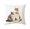 45x45cm Cute Cat Cushion Cover Polyester Throw Pillow For Bed Living Room Sofa Office Seat Car Kids  Decor Home