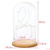Cloche With Suspended LED Lights Tabletop Lamp Wedding Holiday Decor Crafts