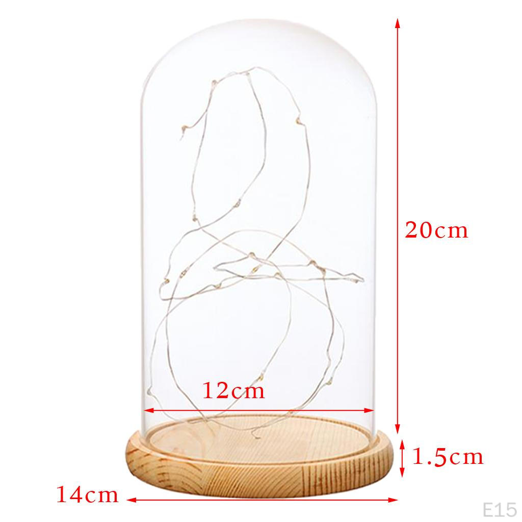 Cloche With Suspended LED Lights Tabletop Lamp Wedding Holiday Decor Crafts