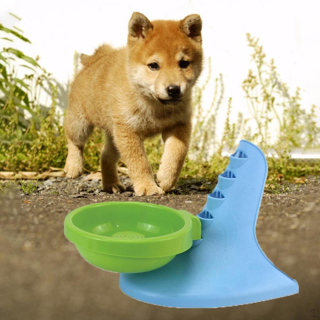 

Funny Ladder Pet Slow Feeder No Plastic Dog Bowl Large