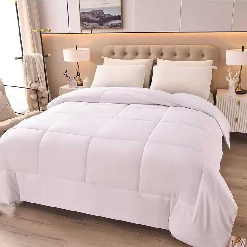 

Lan Jue Skin-Friendly Polyester Winter Quilt