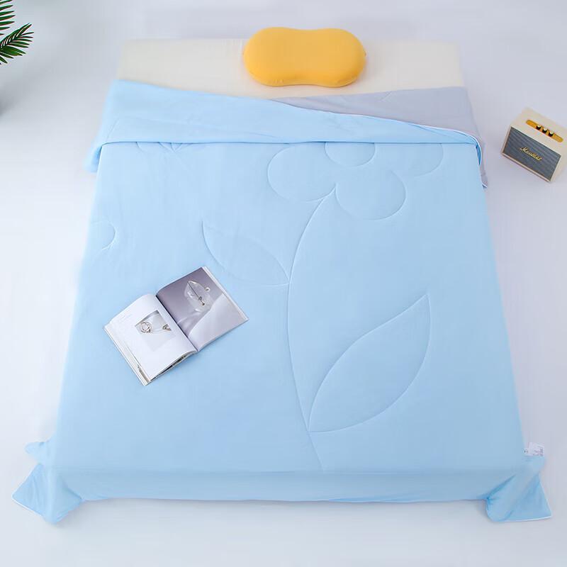 Royal Bedroom Warm Ice Silk Quilt