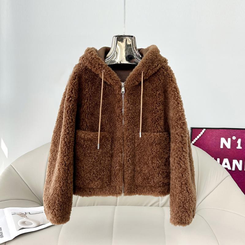 Women's Faux Lamb Wool Hooded Coat: New 2025 Autumn/Winter Double-Sided Plush, Thickened Short Coat/Sweatshirt